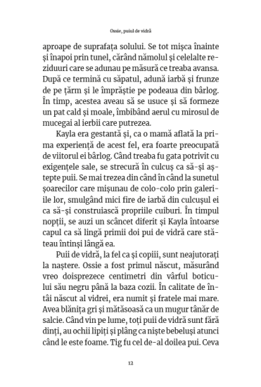 ossie puiul de vidra int2