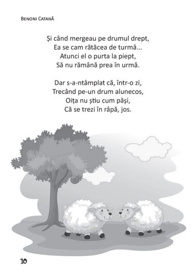 rime cu talc int2