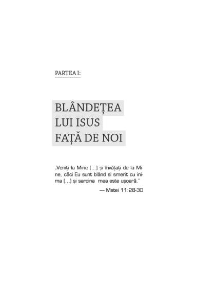 un raspuns bland int1
